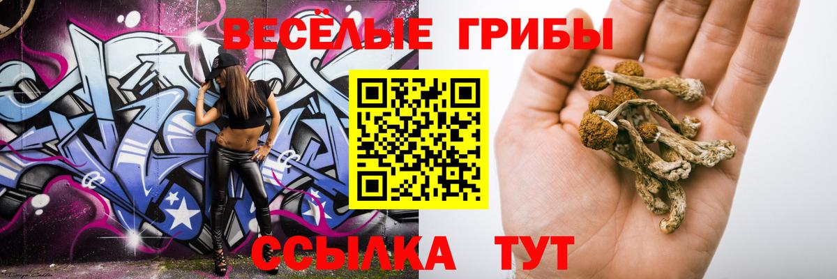 Галлюциногенные грибы Magic Shrooms Полысаево