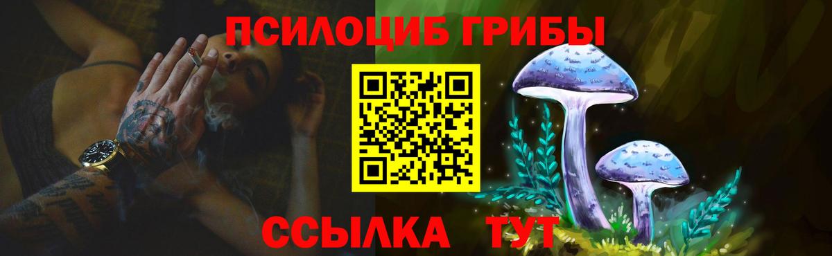где продают   Вход с VPN  Полысаево  Псилоцибиновые грибы GOLDEN TEACHER 